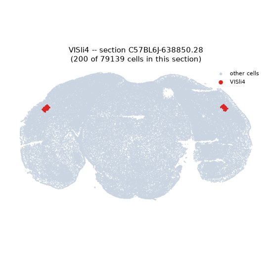 VISli4 MERFISH region locator