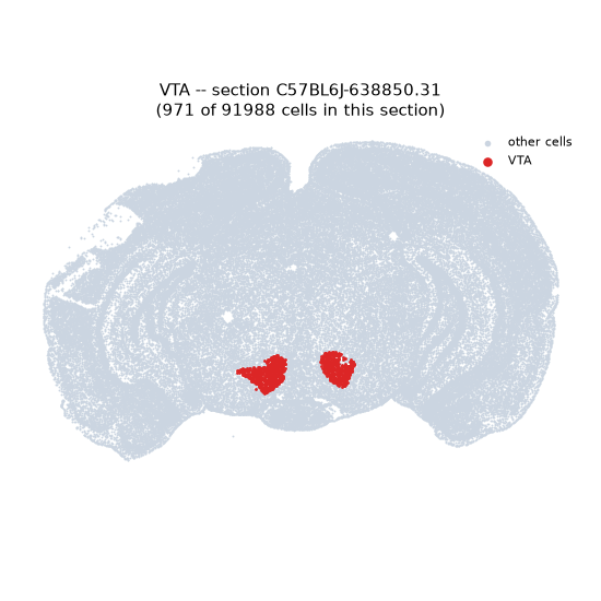 VTA MERFISH region locator