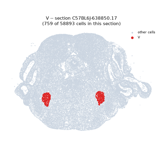 V MERFISH region locator